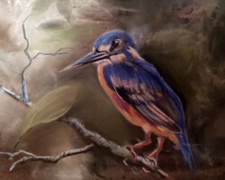 Azure Kingfisher