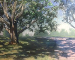 Bloomingdale Park Fort Wayne