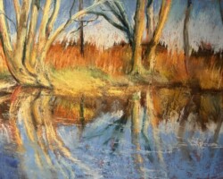 Mississinewa Reflections