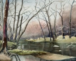 Mississinewa Winter