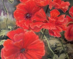 Old Fashioned Poppies