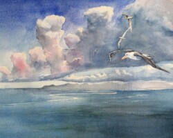 Society Islands evening