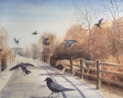 When you were not looking